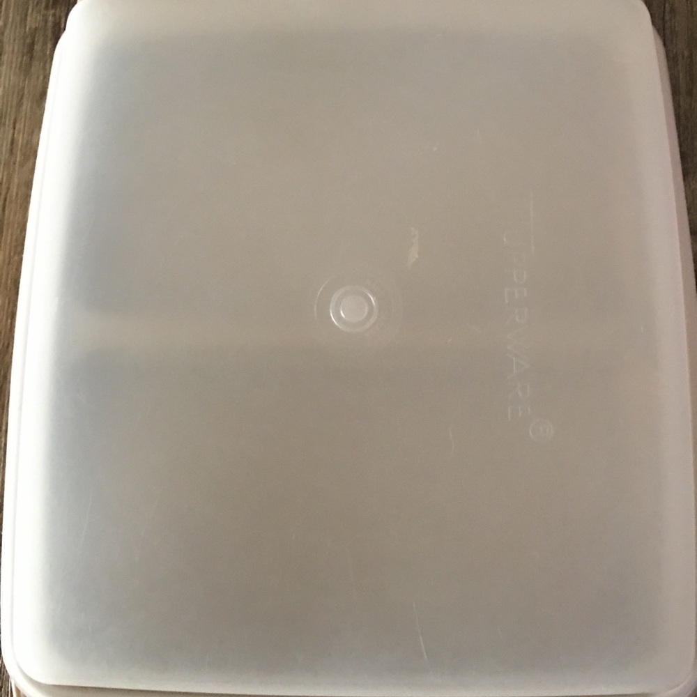 Egg Container-Storage-Vintage Tupperware